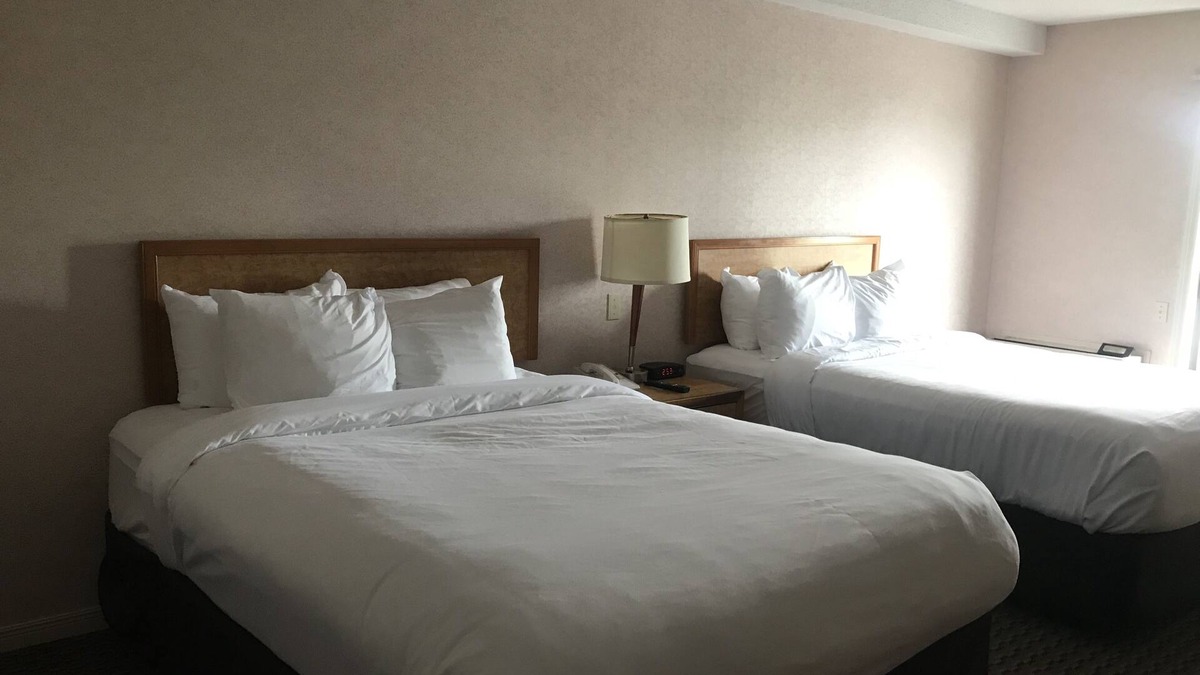Saint John Hotel | Rodeway Inn