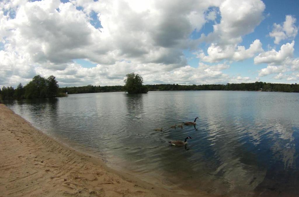 Kahl Apartment | ROM - Haus am See mit Sandstrand & Seeblick nahe Rhein-Main und Spessart