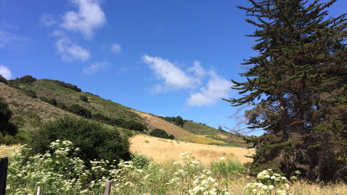 Carmel Cottage | Romantic Couples Cottage, Artist-Writers Retreat in Carmel Valley Wine Country