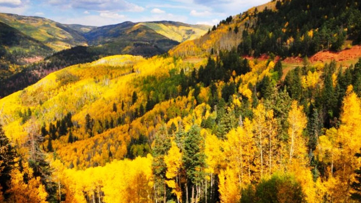 Divide Cabin | Romantic Forest Hideaway, Hot Tub, WiFi, Directv, near Attractions & Breweries!