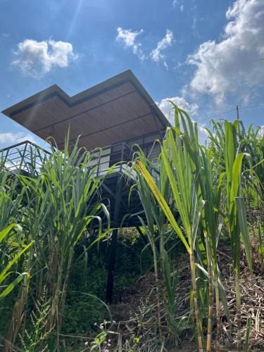 Nocaima House | Romantic Glamping for 2 in the Mountain Access with 4x4 or motorbike only