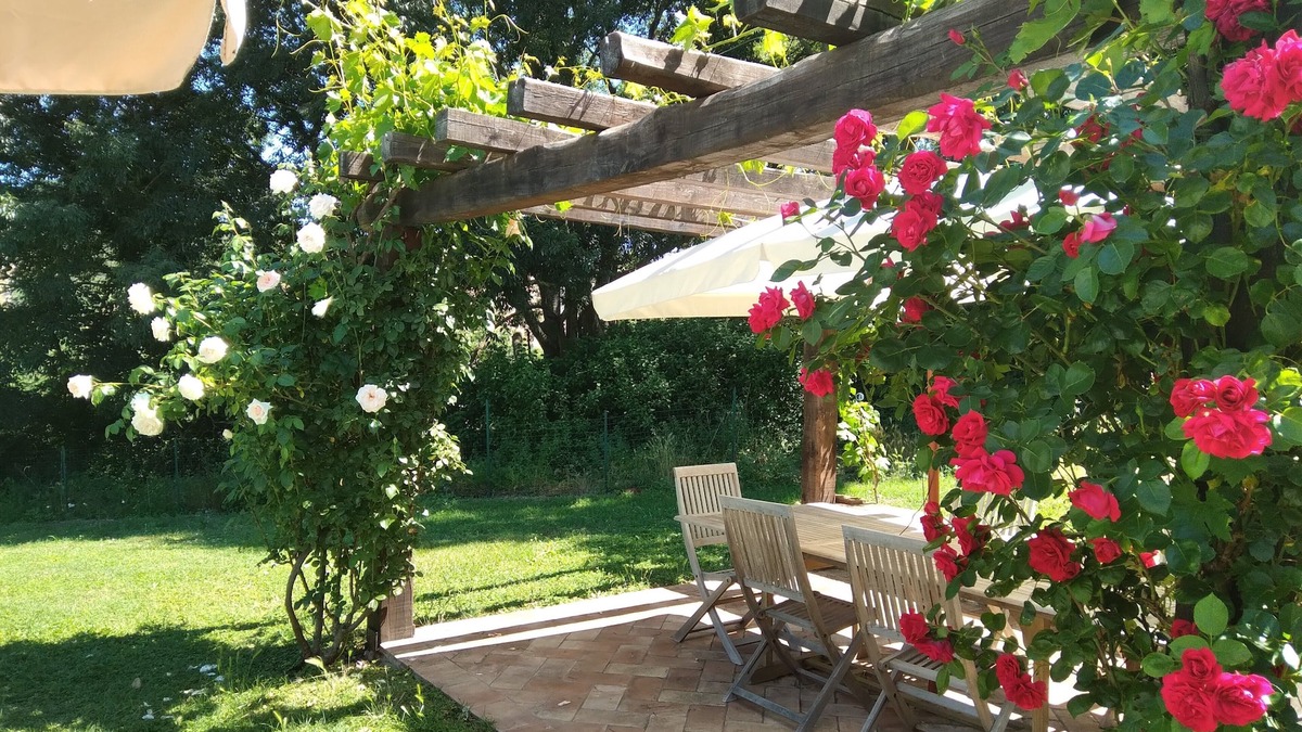 Civitella d'Agliano House | Romantic Hideaway with Spectacular Views, Pool, and Wood-Fired Hot Tub.