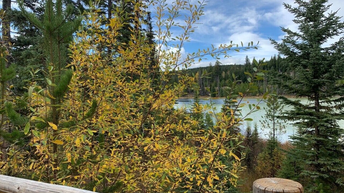 Lac Le Jeune Cabin | Romantic Log Cabin Getaway