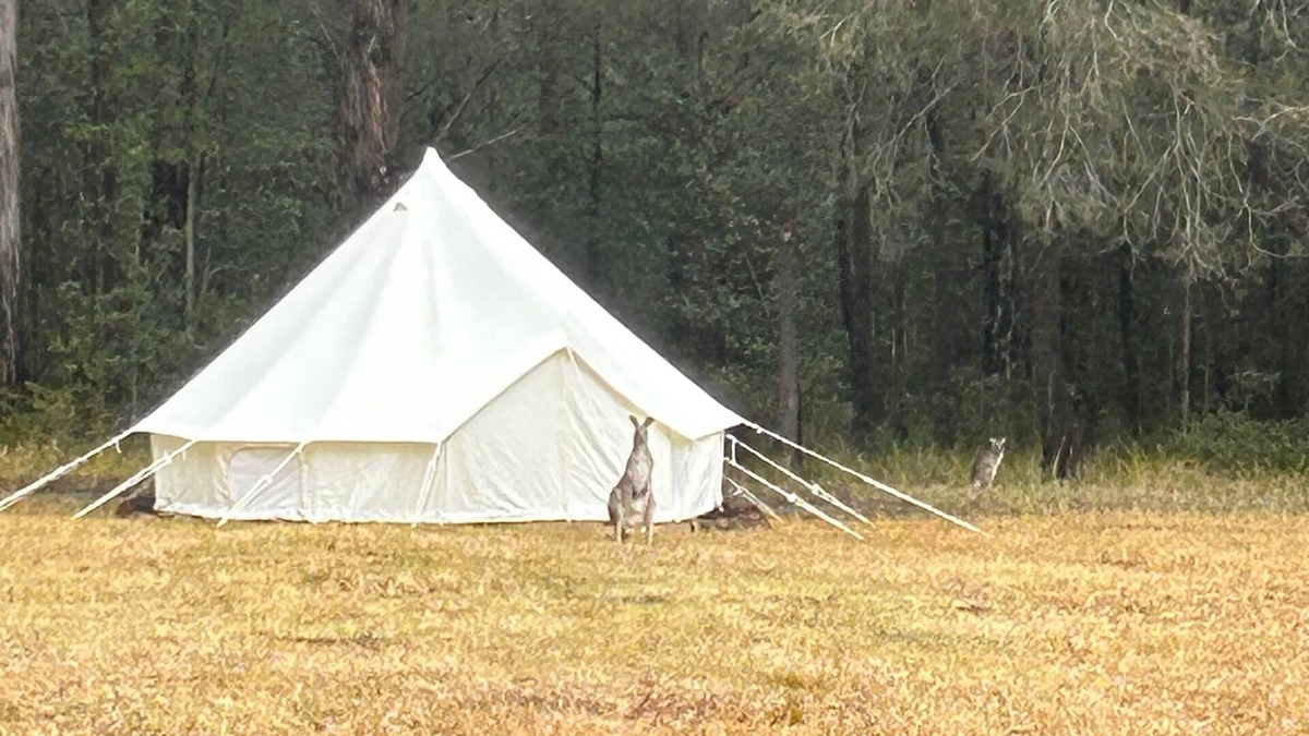 Tomerong RV Rental | Romantic Queen Bed Glamping Tent