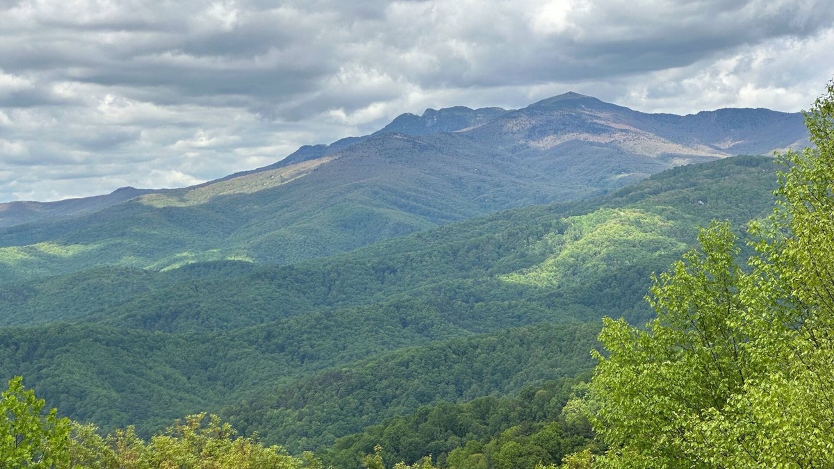 Apple Ridge Cottage | Romantic & Secluded! Blowing Rock, Views, Hot tub - The Secret Shack