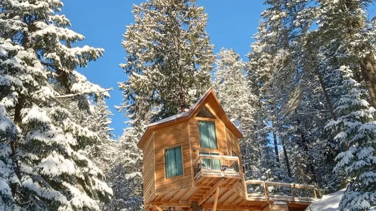 Newport Apartment | Romantic Treehouse Getaway with Peaceful Mountain Views!