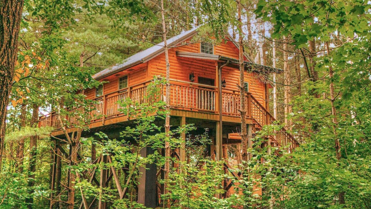 Millersburg Cabin | Romantic Treehouse Getaway with Treetop Views