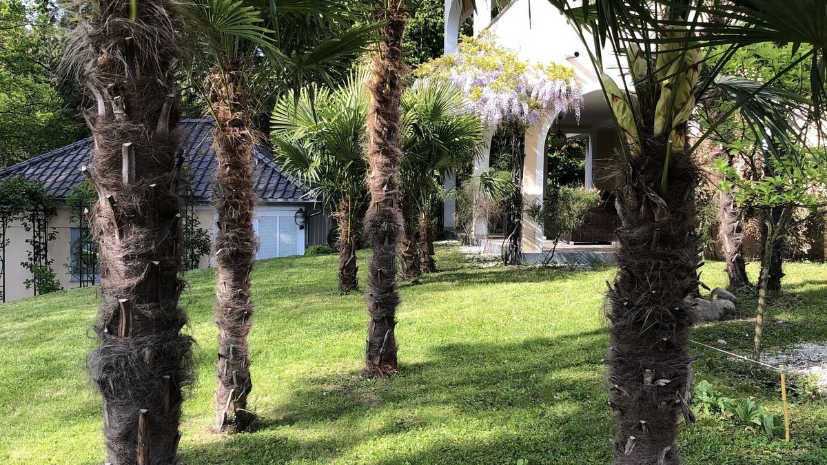 Kressbronn Resort | Romantic villas right next to Schlössle Park, 2 minutes' walk to the beach