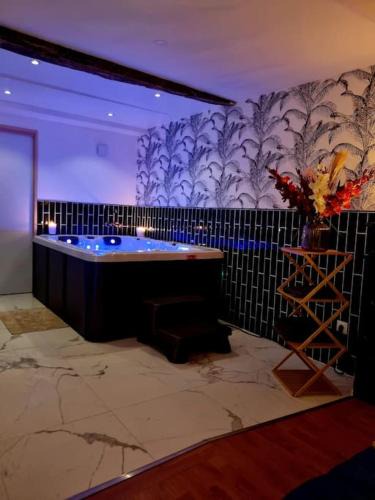 Saint-Michel-de-Lanes House | Romantique room St Michel de Lanes (love room)