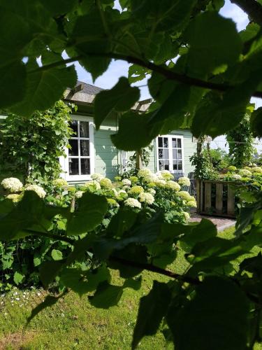 Municipality of Den Helder House | Romantisch Huisje nabij het strand met uitzicht op de tulpenvelden