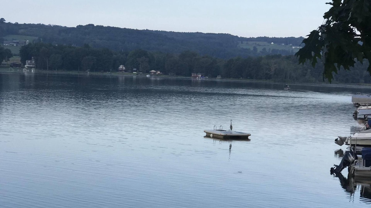 Bradford House | "Ron golden pond" is a place to make memories, a special home with great energy.