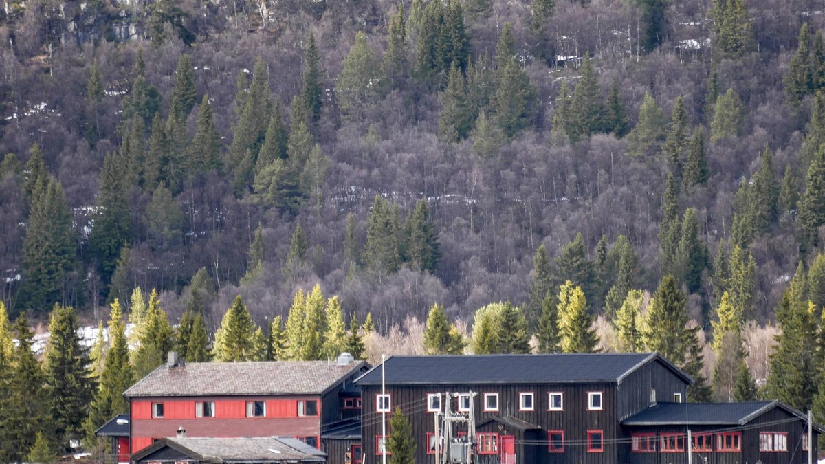 Mysuaeter Hotel | Rondane Fjellstue