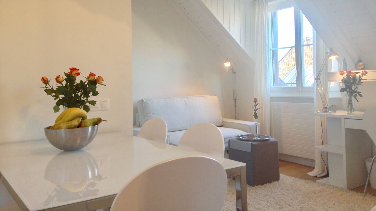 Carouge Apartment | Roof Top Apartment in the Heart of Vieux Carouge, Geneva's fanciest neighborhood