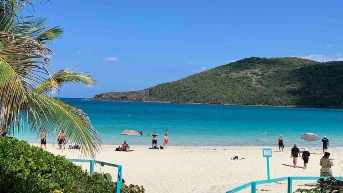 Machos Apartment | Rooftop With Amazing Ocean View/next to Culebra-vieques Ferry