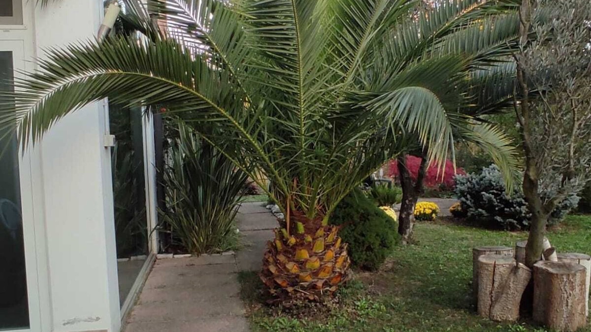 Dese House | Room for 2-3 pers. with private bathroom.