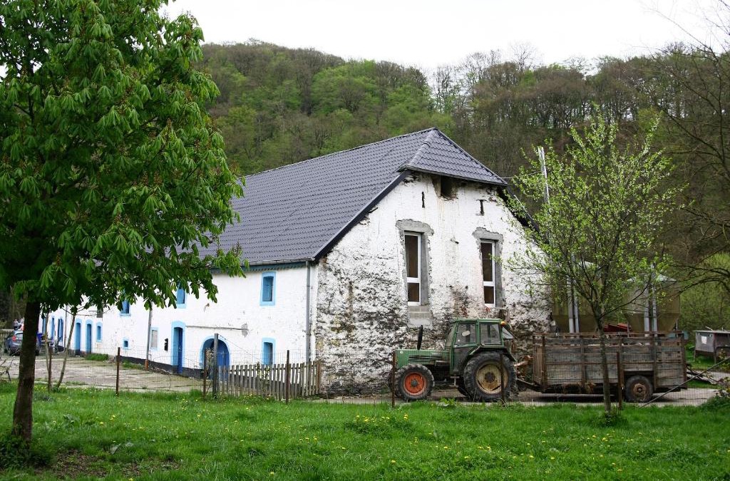 Luxembourg Ardennes Bed & Breakfast | Room in Farmhouse Berkel