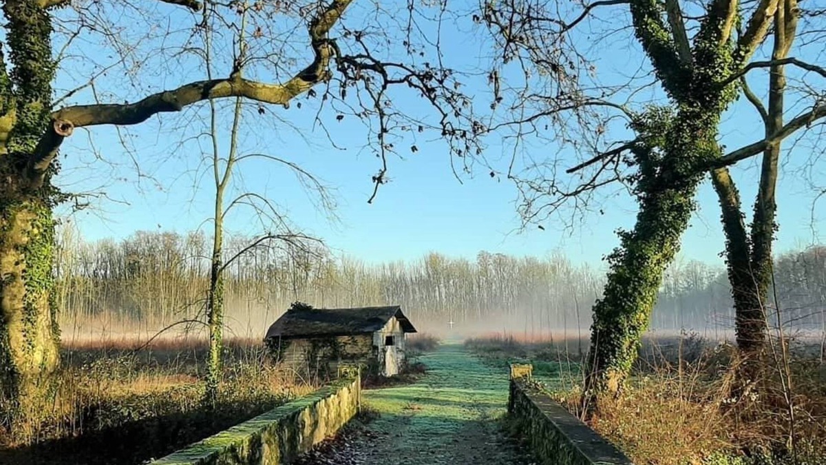 Saint-Pierre-de-l'Isle Bed & Breakfast | Room in the Château logis
