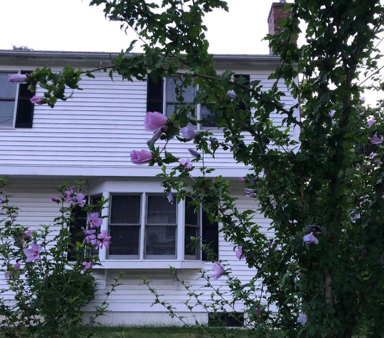 West Roxbury House | Room in Single Family House - Suburban Neighborhood in Boston