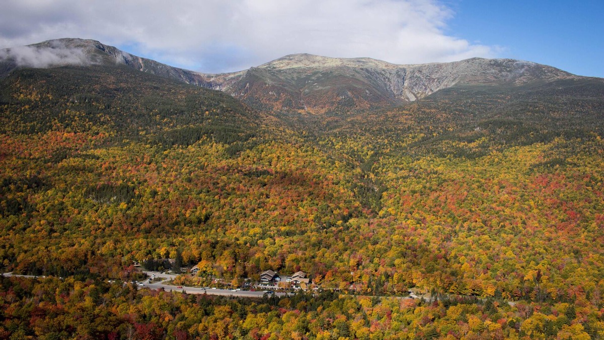 Upper Village Condo | Room, King, 2 Bunks, Shared Bathrooms