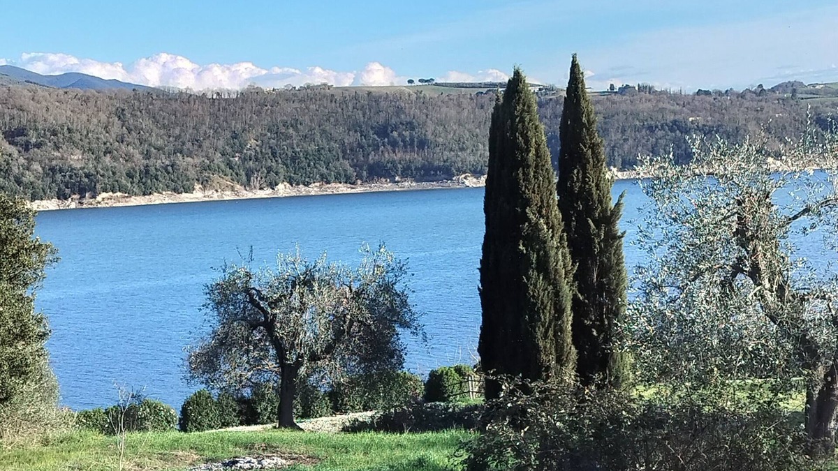 Corbara Bed & Breakfast | Rooms with private bathroom near Lake Corbara