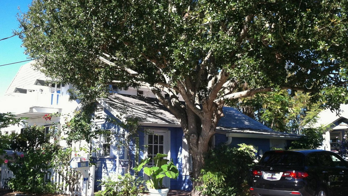 Stuart Cottage | Roonie's Periwinkle Cottage - waterfront- 2 bikes - downtown Stuart