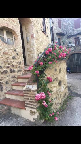 Pari Apartment | Rosa di Maggio