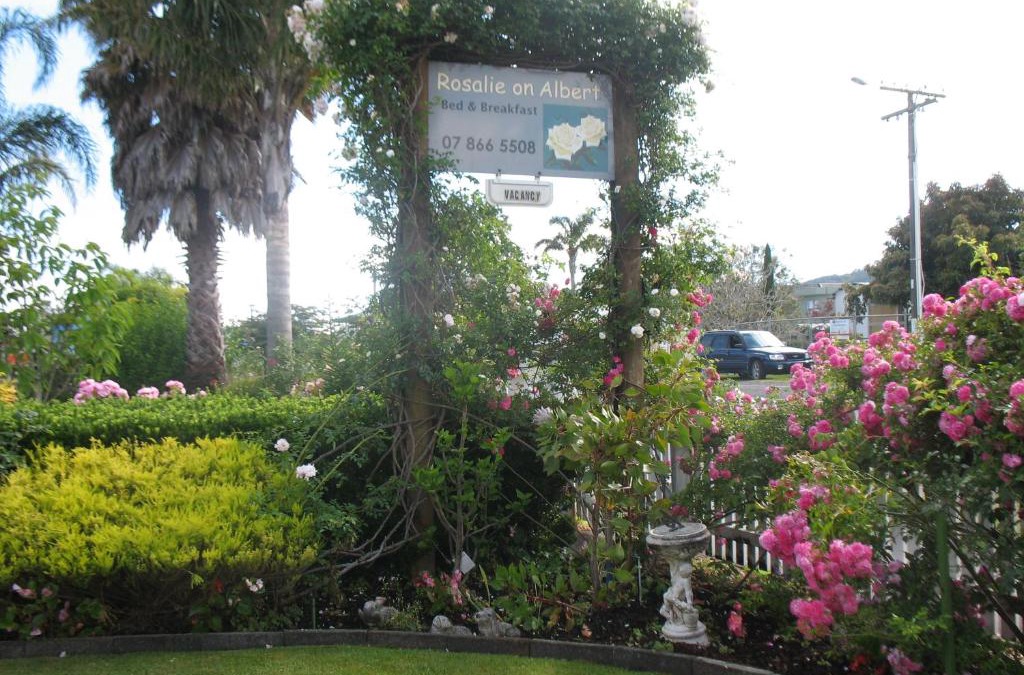 Whitianga Bed & Breakfast | Rosalie On Albert B&B