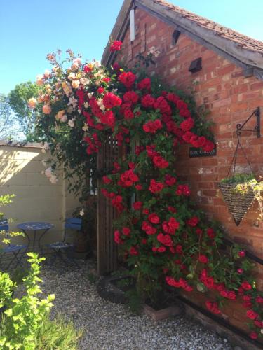 Hereford House | Rose cottage