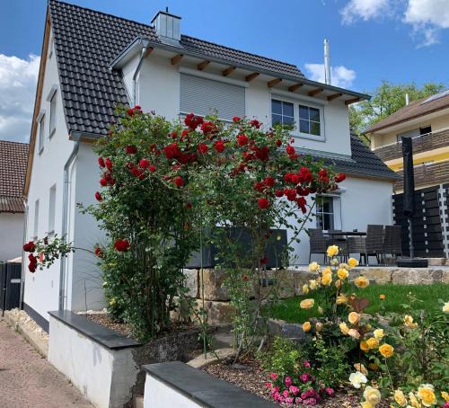 Leinach House | Rosenchalet