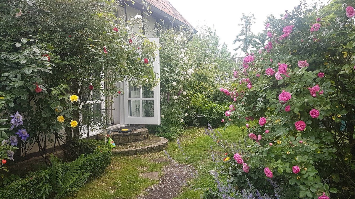 Halle Bed & Breakfast | Rosindell-cottage