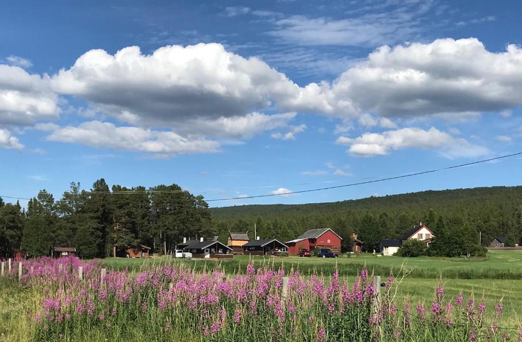 Galaa Other | Roste Hyttetun og Camping