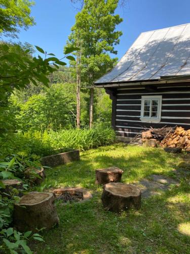 Rokytnice nad Jizerou Ski Chalet | Roubenka Dolní Rokytnice
