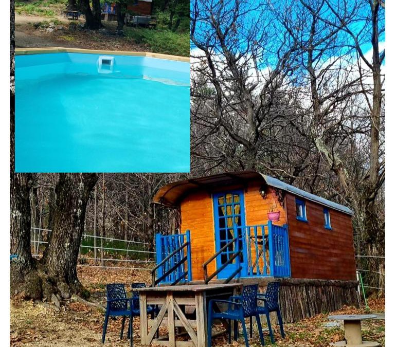 Valgorge Other | Roulotte la bleuet avec piscine