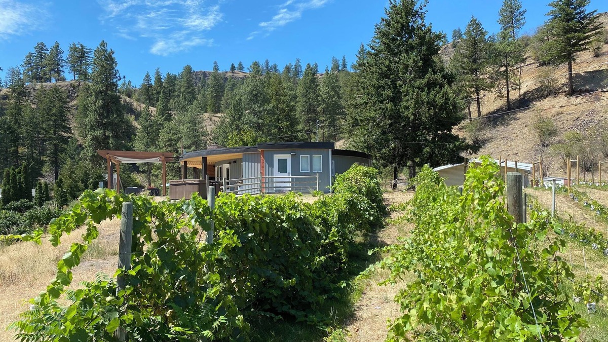 Okanagan-Similkameen House | Roundhouse Ridge - Vineyard, Hot Tub and Acreage to Explore!