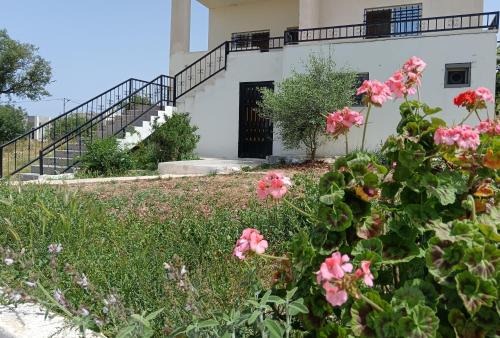 Umm Qais House | Rousan House