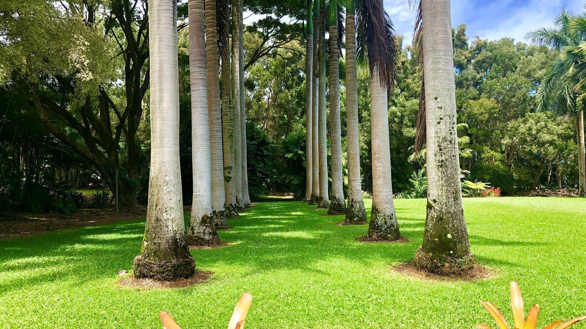 Hakalau Cottage | Royal Palm Cottage/5 mins from beach/Akaka Falls/Private Lanai