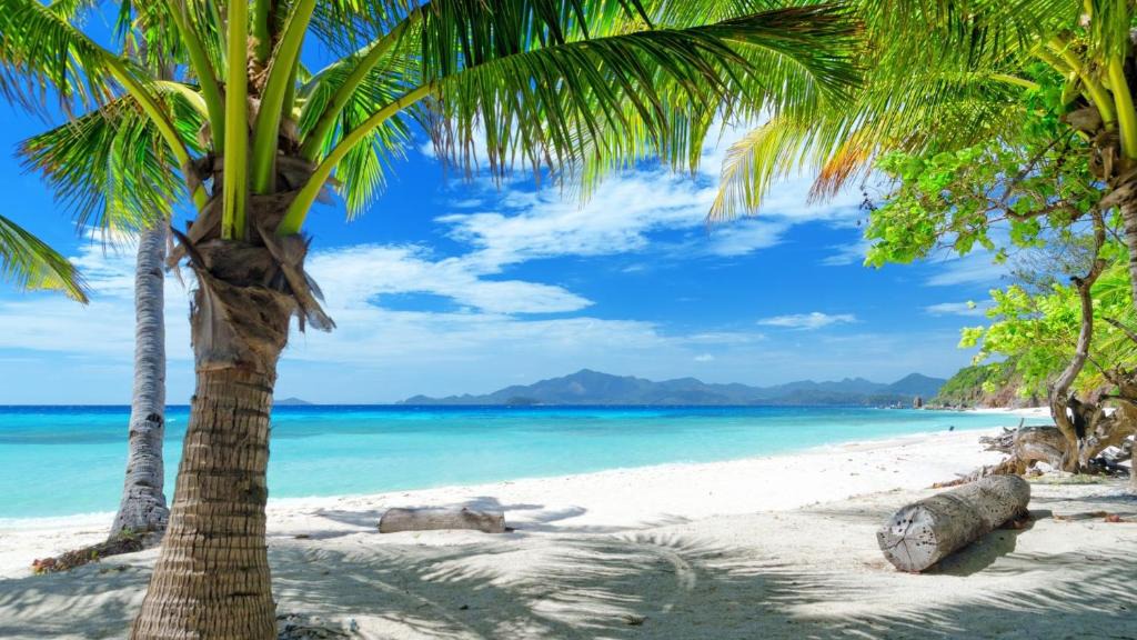 Anse Royale Apartment | Royale Suites by Arc Royal Luxury Apts