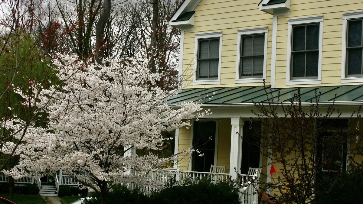 Barracks Rugby House | Rugby area home-Perfect for UVa Graduation (one mile from the Rotunda)