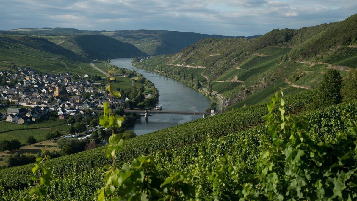 Trittenheim House | Ruhig Gelegenes Ferienhaus mit Sauna Direkt an der Mosel