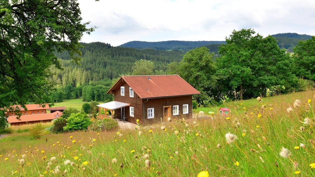 Drachselsried House | Ruhiges Ferienhaus in Drachselsried in Waldnähe