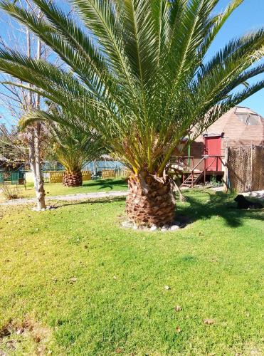 El Molle House | rukainn