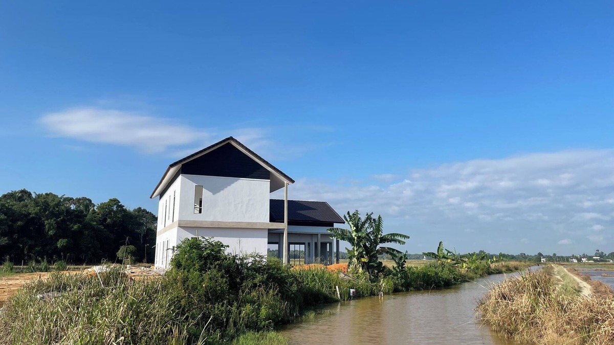 Pasir Mas Other | Rumah Burong - A home in a lush paddy field