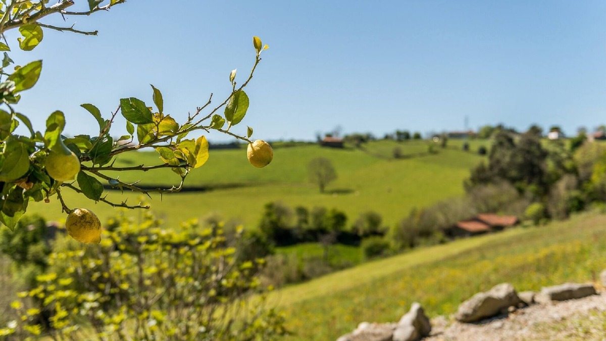 Ampuero Apartment | Rural apartment located in natural surroundings and close to the beach