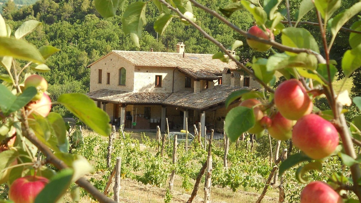 Vallo di Nera Apartment | Rural farm-stay on working organic farm, in restored stone villa. Kid-friendly!