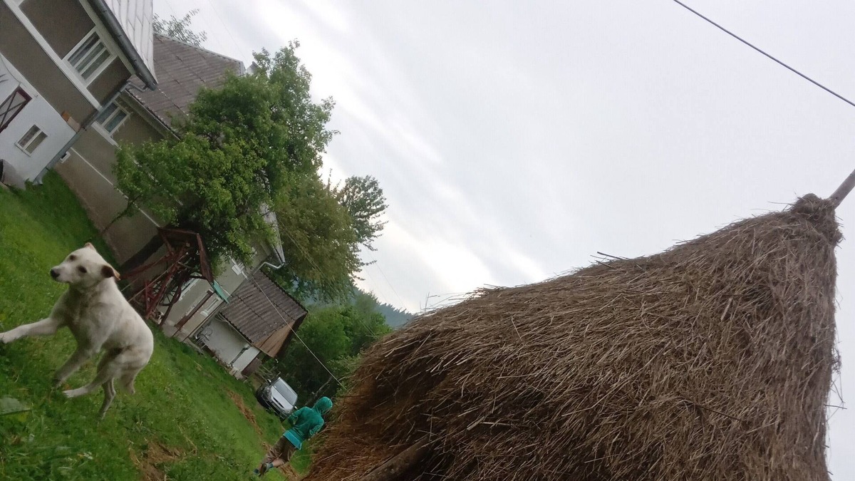 Rosia Montana House | Rural Holiday Transylvania