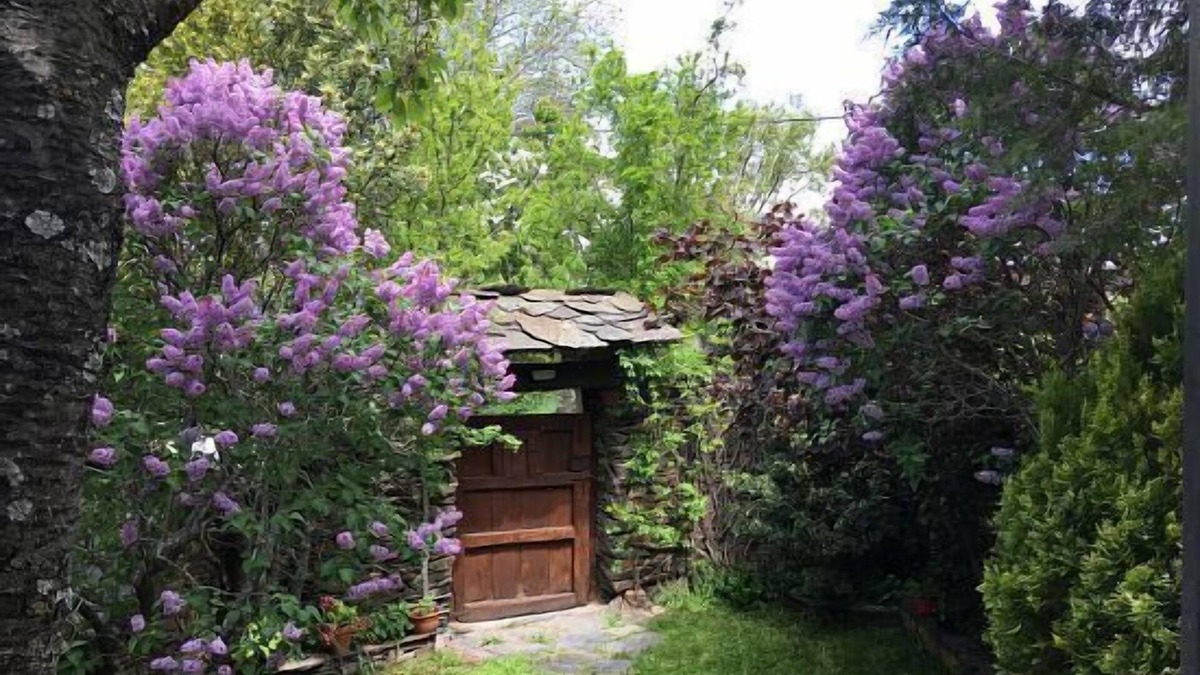Campillo de Ranas Cottage | Rural house 1786 for 5 people