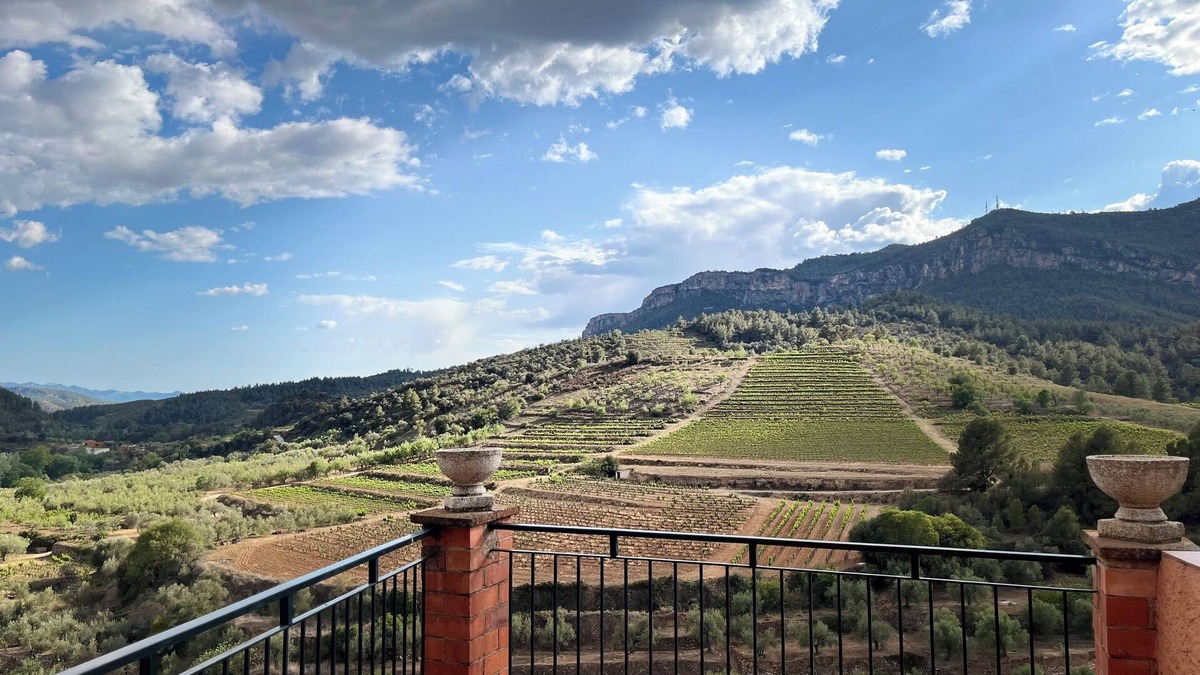 La Vilella Baixa Cottage | Rural house in the heart of Priorat with 5 bedrooms and spectacular views.
