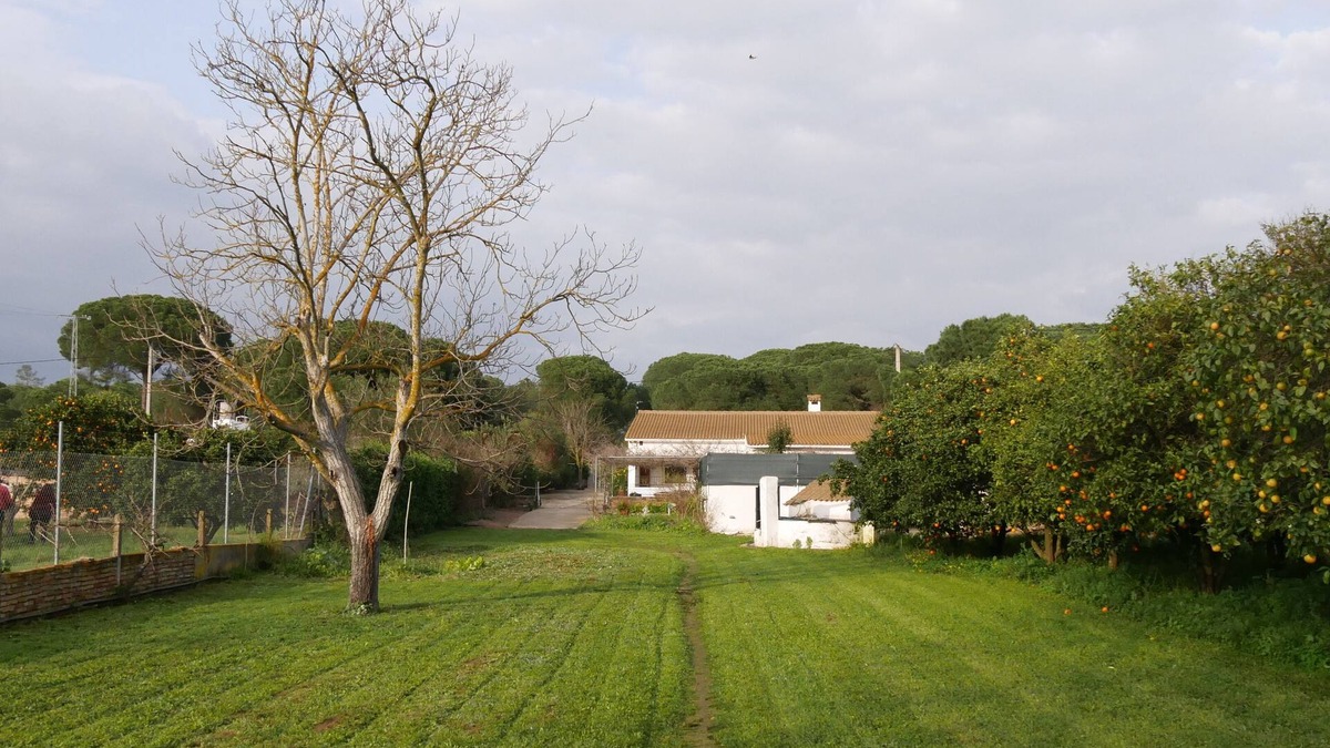 Aljaraque Cottage | RURAL HOUSE WITH POOL NEAR THE SEA in ALJARAQUE