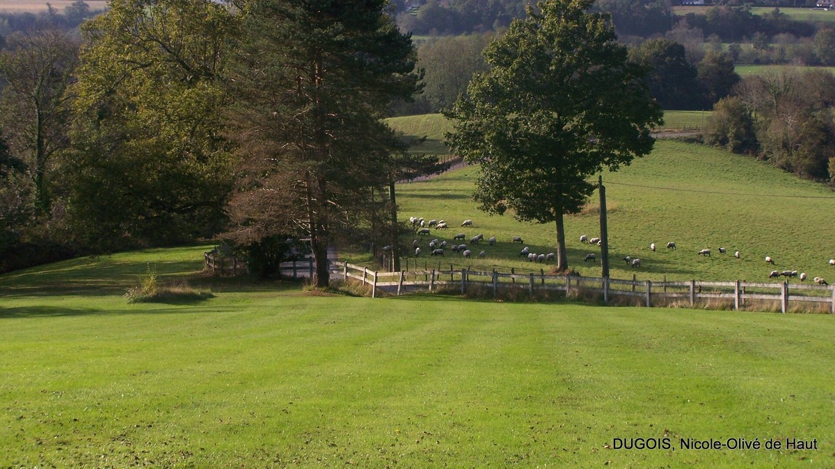 Aramits House | Rural lodging in the Béarn Pyrenees