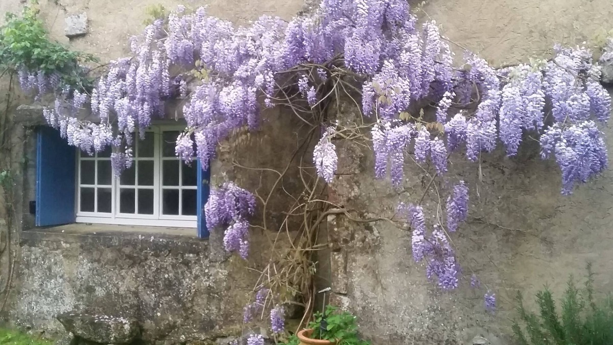 Grezac House | Rural peaceful house close to beach, golf and shops. House sleeps 7/9.